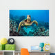Endangered Green Sea Turtle Wall Decal Design 3