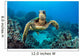 Endangered Green Sea Turtle Wall Decal Design 3