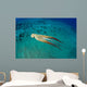 Day Octopus Octopus Cyanea Wall Decal Design 2
