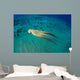 Day Octopus Octopus Cyanea Wall Decal Design 2