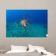 Day Octopus Octopus Cyanea Wall Decal Design 1