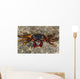 Shore Crabs Grapsus Species Wall Decal