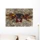Shore Crabs Grapsus Species Wall Decal