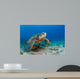 Endangered Green Sea Turtle Wall Decal Design 2