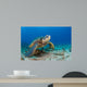 Endangered Green Sea Turtle Wall Decal Design 2