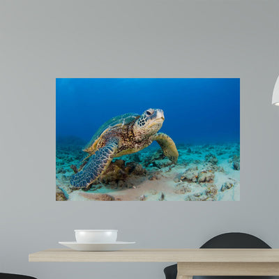 Endangered Green Sea Turtle Wall Decal Design 2 shown on a wall