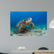 Endangered Green Sea Turtle Wall Decal Design 2