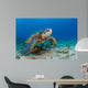Endangered Green Sea Turtle Wall Decal Design 2