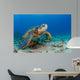 Endangered Green Sea Turtle Wall Decal Design 2