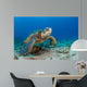 Endangered Green Sea Turtle Wall Decal Design 2