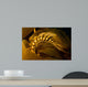 Giant Kelp Frond Showing Wall Decal