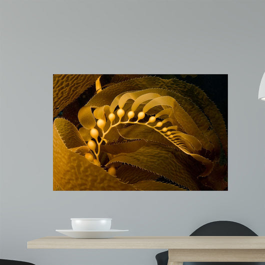 Giant Kelp Frond Showing Wall Decal