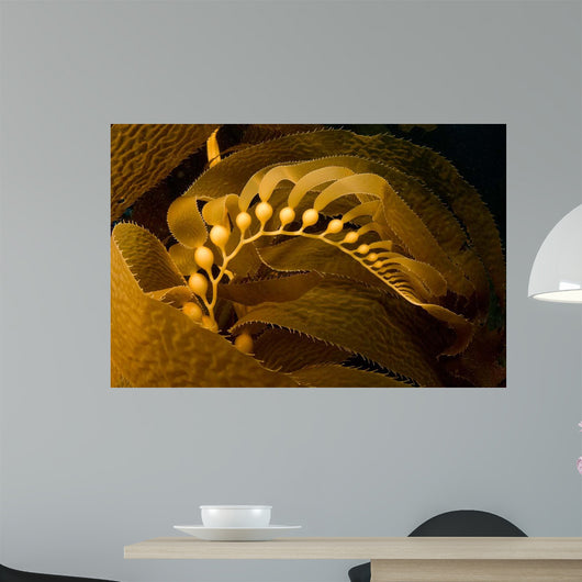 Giant Kelp Frond Showing Wall Decal