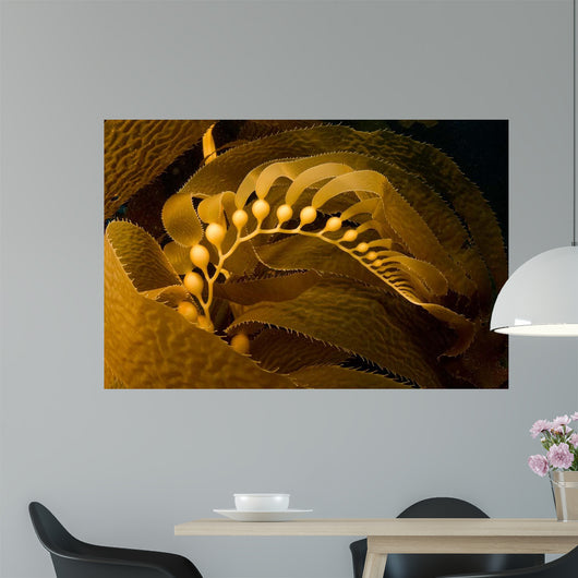 Giant Kelp Frond Showing Wall Decal