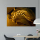 Giant Kelp Frond Showing Wall Decal