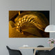 Giant Kelp Frond Showing Wall Decal