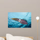 Caribbean Reef Squid Shallow Wall Decal Design 4