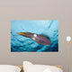 Caribbean Reef Squid Shallow Wall Decal Design 4