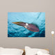 Caribbean Reef Squid Shallow Wall Decal Design 4