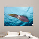 Caribbean Reef Squid Shallow Wall Decal Design 4