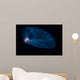 This Pelagic Tunicate Is Wall Decal