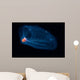 This Pelagic Tunicate Is Wall Decal