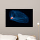 This Pelagic Tunicate Is Wall Decal