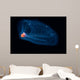 This Pelagic Tunicate Is Wall Decal