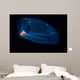 This Pelagic Tunicate Is Wall Decal