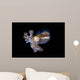 Bobtail Squid Komodo Indonesia Wall Decal Design 2