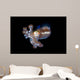 Bobtail Squid Komodo Indonesia Wall Decal Design 2