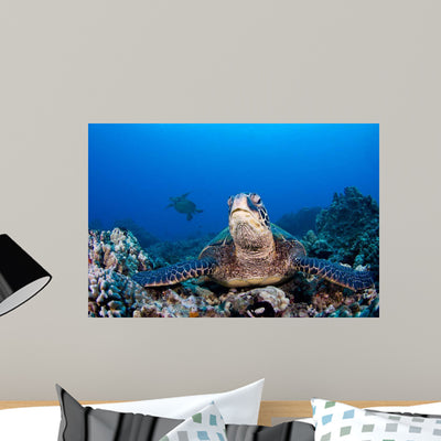 Endangered Green Sea Turtles Wall Decal shown on a wall