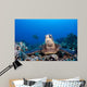 Endangered Green Sea Turtles Wall Decal