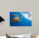 Endangered Green Sea Turtle Wall Decal Design 1