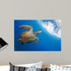 Endangered Green Sea Turtle Wall Decal Design 1