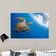 Endangered Green Sea Turtle Wall Decal Design 1