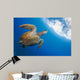 Endangered Green Sea Turtle Wall Decal Design 1