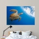 Endangered Green Sea Turtle Wall Decal Design 1