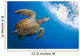 Endangered Green Sea Turtle Wall Decal Design 1