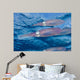 Caribbean Reef Squid Shallow Wall Decal Design 3
