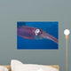 Caribbean Reef Squid Shallow Wall Decal Design 2