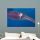 Caribbean Reef Squid Shallow Wall Decal Design 2