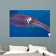Caribbean Reef Squid Shallow Wall Decal Design 2