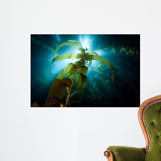 Sunlight Streaming through Forest Wall Decal