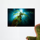 Sunlight Streaming through Forest Wall Decal