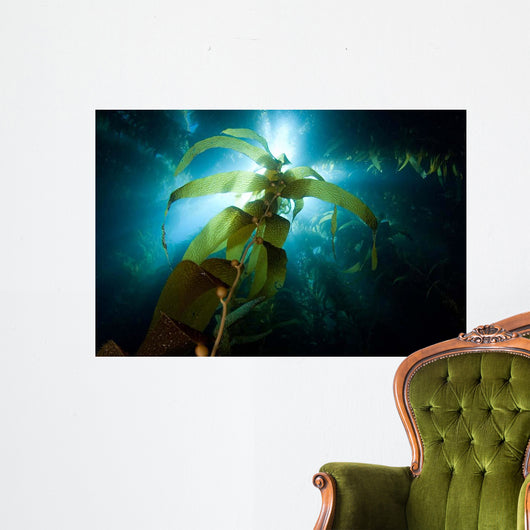 Sunlight Streaming through Forest Wall Decal