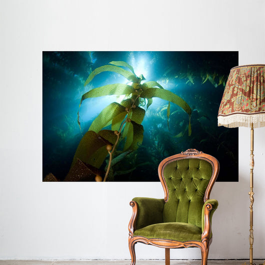 Sunlight Streaming through Forest Wall Decal