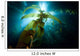 Sunlight Streaming through Forest Wall Decal
