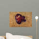 Veined Octopus Octopus Marginatus Wall Decal