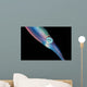 Caribbean Reef Squid Shallow Wall Decal Design 1